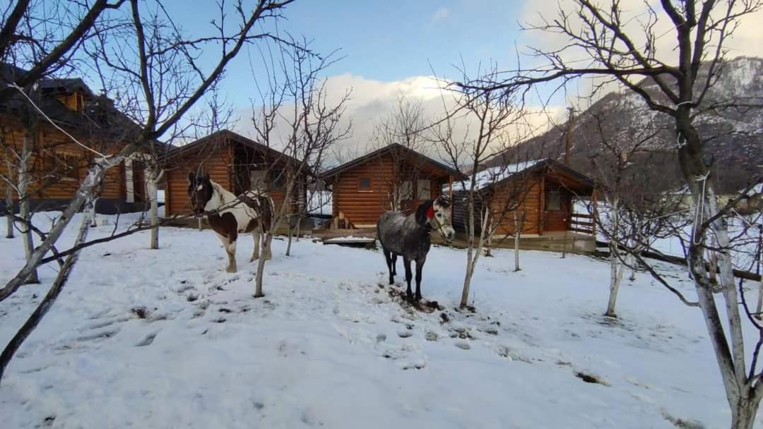 Holiday Bungalows With Pool Плав Екстер'єр фото
